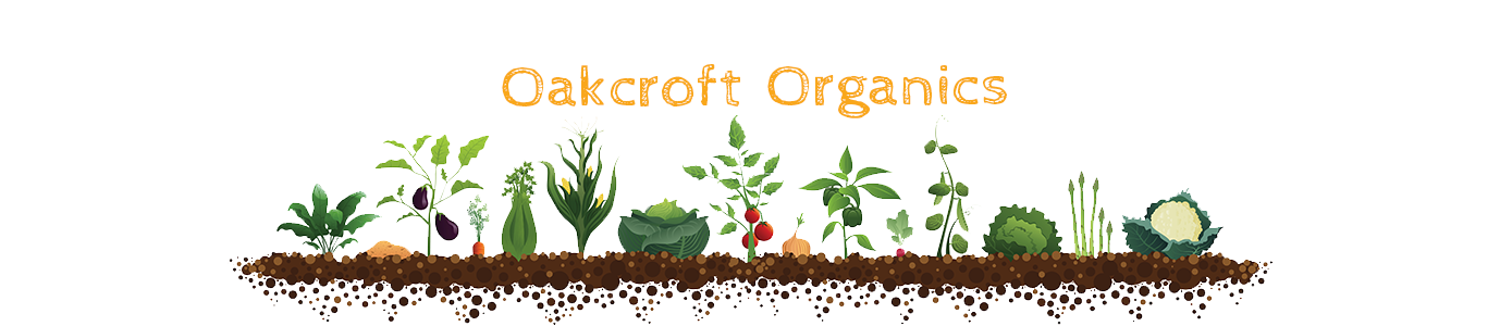 Oakcroft Organics | Oakcroft Organic Market Garden | Malpas, Cheshire | Soil Association certified