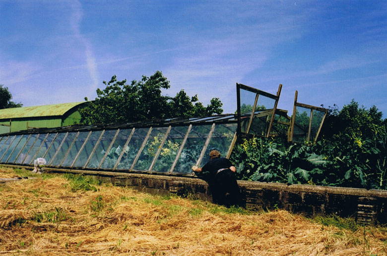 Top glasshouse